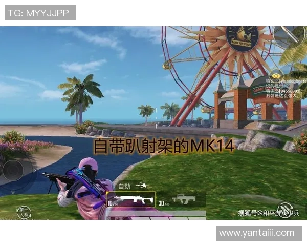 和平精英战术解析:JDG团队如何构建高效的整体压制体系